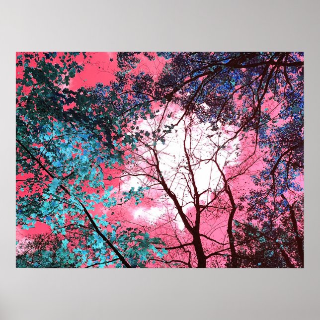 Póster Enchanted   (Frente)