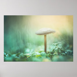 Póster Enchanted Mushroom Nature Photo