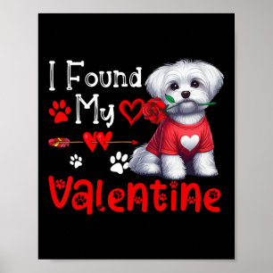 Póster Encontré a mi valentín maltés con flor lindo coraz