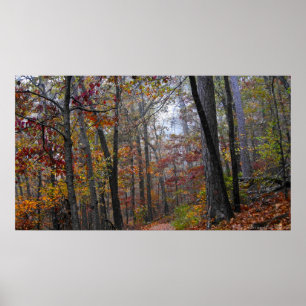 Póster Encroaching Fog en el Poster del sendero forestal 