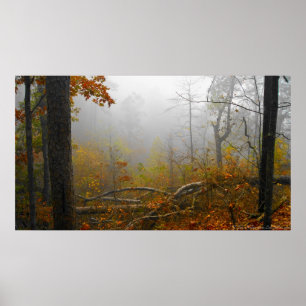 Póster Encroaching Fog en el Poster forestal del otoño