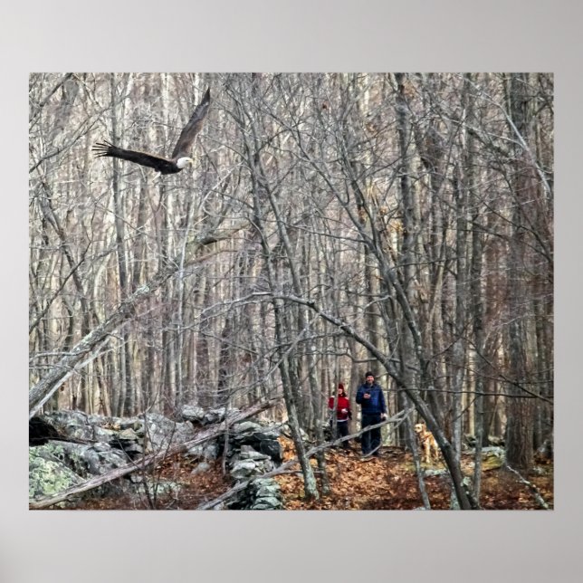Póster Encuentro de águila calva (Frente)