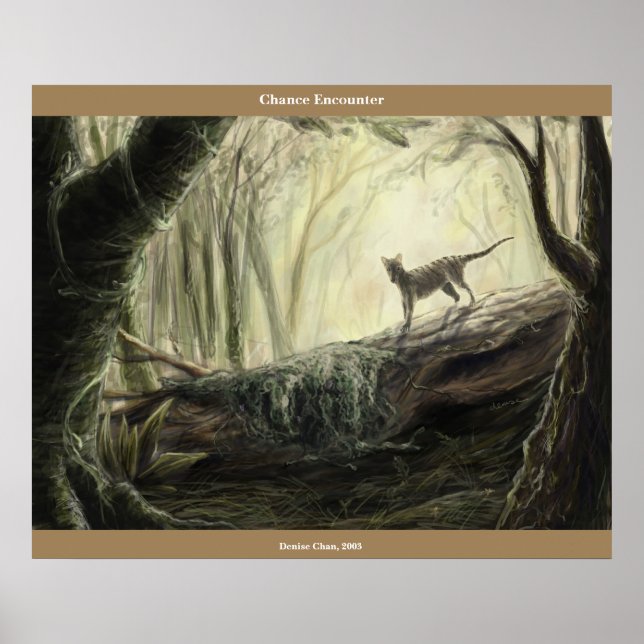 Póster Encuentro de oportunidad (Frente)