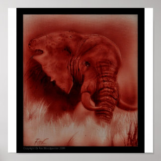 Póster Endone Elephant