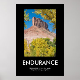 PÓSTER ENDURANCIA