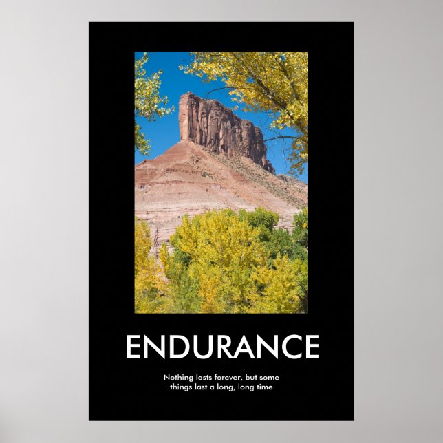 PÓSTER ENDURANCIA (Frente)