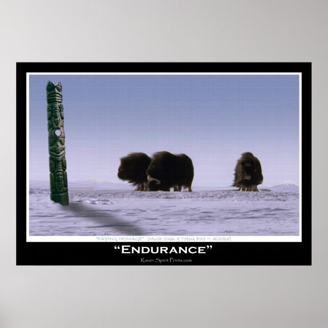 Póster "ENDURANCIA" Musk Oxen & Totem Pole Art Poster (Frente)