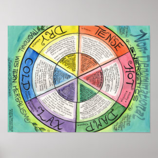 Póster Energía y Estados de tejidos - Poster herbario