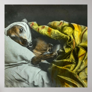Póster Enferma como linterna mágica de perro