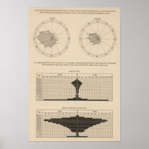 Póster Enfermedades mortales sistema respiratorio, bronqu