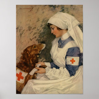 Póster Enfermera de guerra con Golden Retriever 1917 WW1