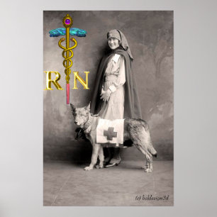 Póster ENFERMERA Y PERRO DE RESCATE / Emblema de Caduceo