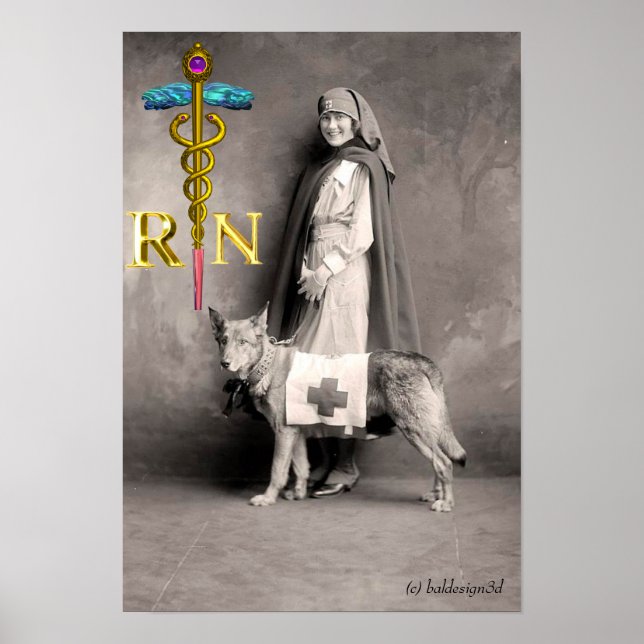 Póster ENFERMERA Y PERRO DE RESCATE / Emblema de Caduceo  (Frente)