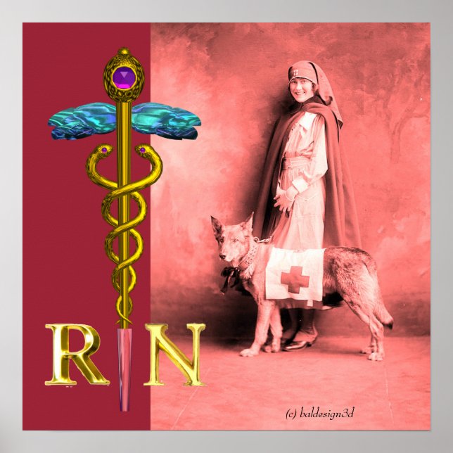 Póster ENFERMERA Y PERRO DE RESCATE / Emblema de Enfermer (Frente)