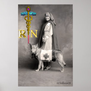 Póster ENFERMERA Y PERRO DE RESCATE /Emblema de RN Caduce