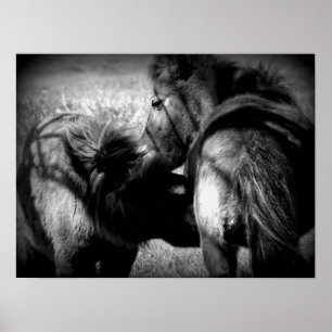 Póster Enfermería Filly