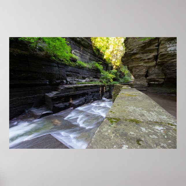 Póster Enfield Glen, Robert H Treman State Park, NY (Frente)