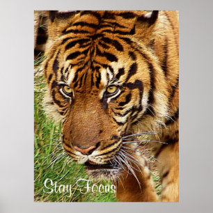 Póster Enfoque _ Poster