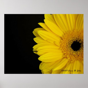 Póster Enfrentando la sencillez