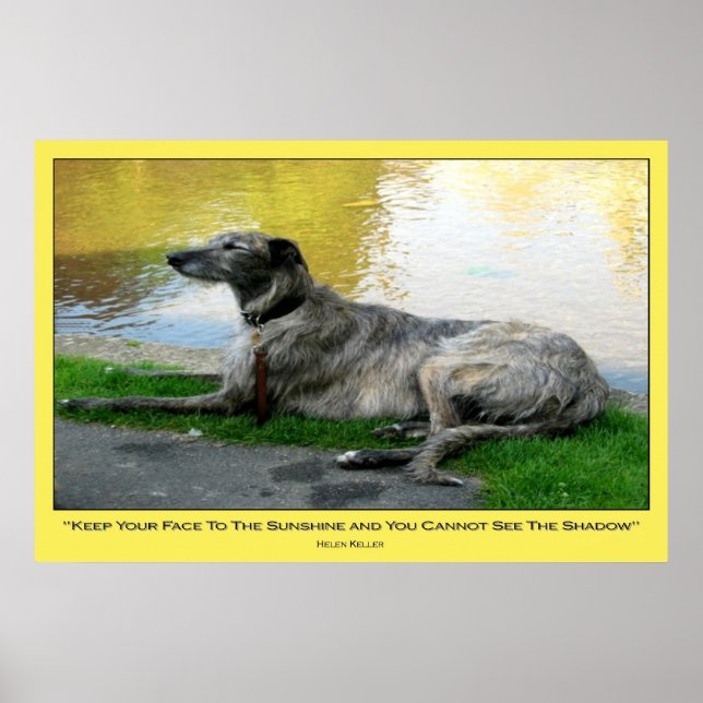 Póster Enfrentar el sol, imprimir (Frente)