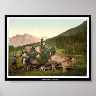 Póster Engadine, Grisons, Suiza