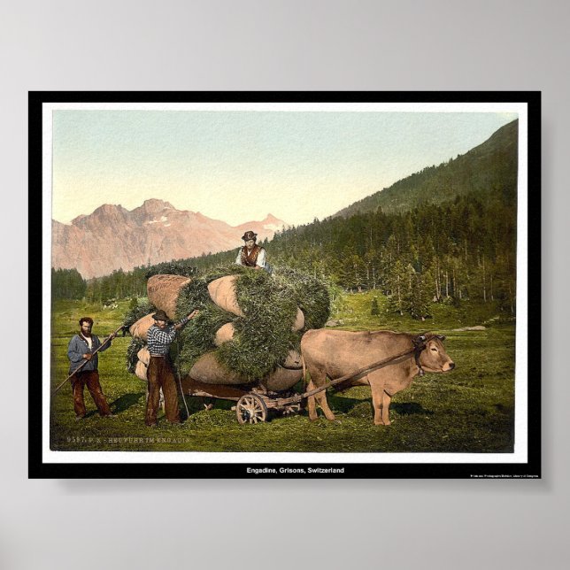 Póster Engadine, Grisons, Suiza (Frente)