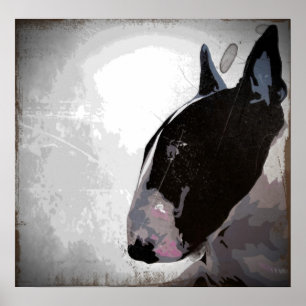 Póster English Bull Terrier, urban contemporary dog art