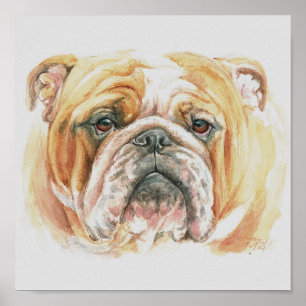 Póster English Bulldog face Watercolor painting