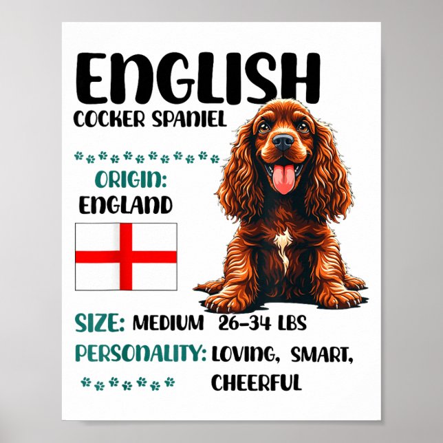 Póster English Er Spaniel Origin Funny Er Spaniel Lover  (Frente)