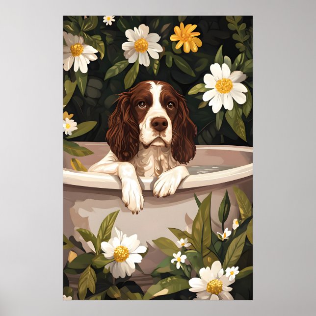 Póster English Springer Spaniel In Bathtub Poster, Funny (Frente)
