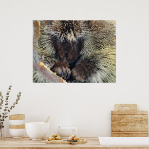 Póster Enigma de la naturaleza