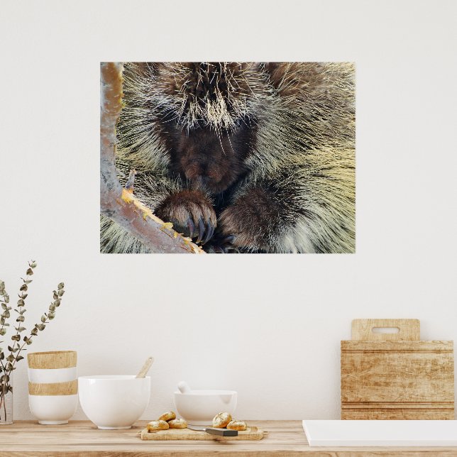 Póster Enigma de la naturaleza (Cocina)