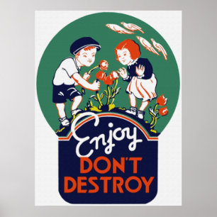Póster Enjoy no destruye el poster