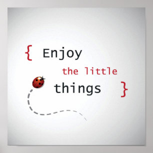 Póster Enjoy The Little Things 2