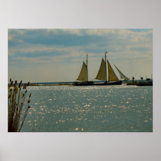 Póster Enkhuizen, barcos tradicionales en el Ijselmeer
