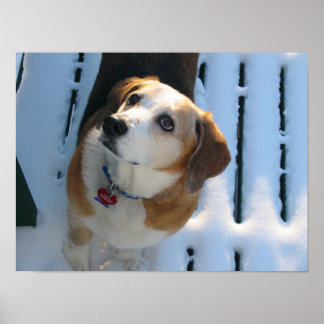 Póster Enlaces celestes