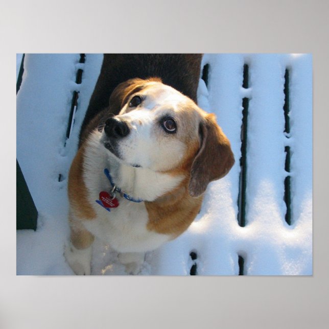 Póster Enlaces celestes (Frente)