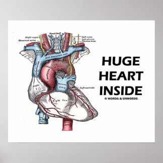 Póster Enorme Corazón Interior (Corazón Anatómico)