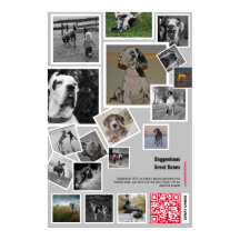 Enorme Gran Dane Puppy para vender