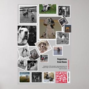 Póster Enorme Gran Dane Puppy para vender
