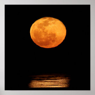 Póster Enorme luna llena   Isla del Padre Sur, Texas