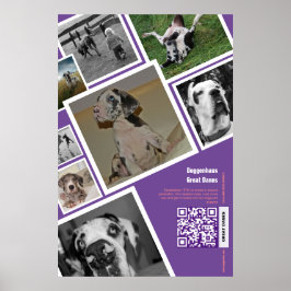 Póster Enorme perro vendiendo