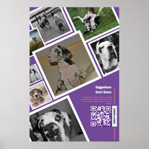 Póster Enorme perro vendiendo
