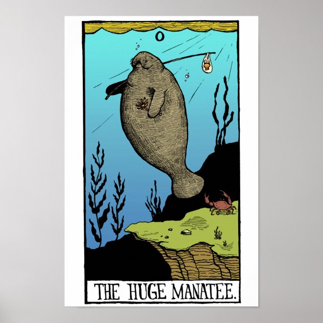 Póster Enorme poster Manatee (Frente)