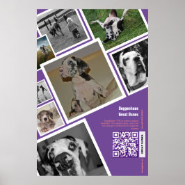 Póster Enorme venta de perros