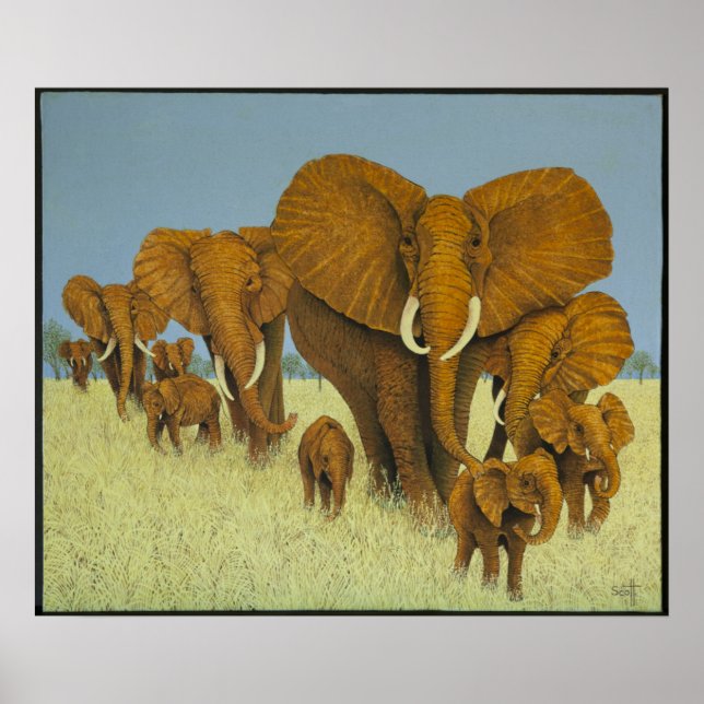 Póster Enormous but caring (Frente)