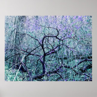 Póster Enredo en azul