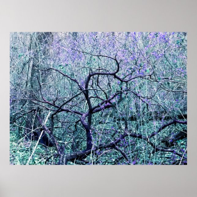 Póster Enredo en azul (Frente)