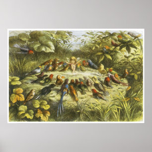 Póster Ensayo en poster del Fairyland de Richard Doyle