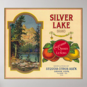 Póster Ensenada anaranjada de LabelLemon del lago de